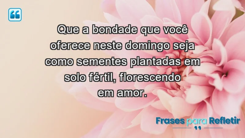 - Que a bondade que você oferece neste domingo seja como sementes plantadas em solo fértil, florescendo em amor.