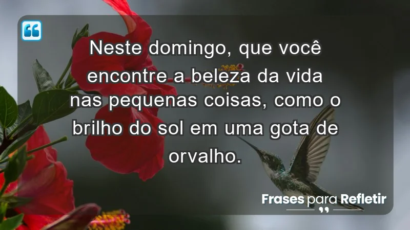 - Neste domingo, que você encontre a beleza da vida nas pequenas coisas, como o brilho do sol em uma gota de orvalho.