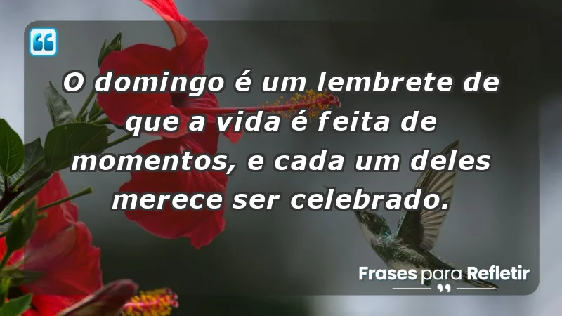 - O domingo é um lembrete de que a vida é feita de momentos, e cada um deles merece ser celebrado.