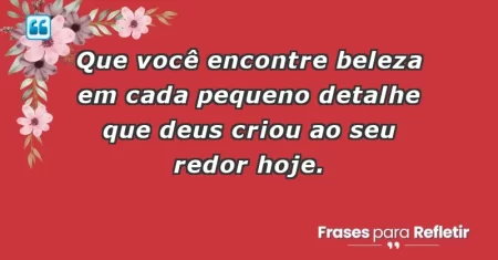 Que você encontre beleza em cada pequeno detalhe que Deus criou ao seu redor hoje.