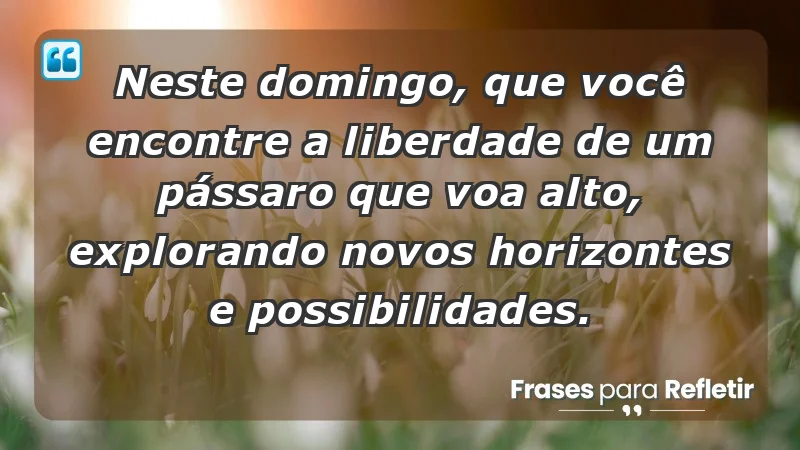 - Neste domingo, que você encontre a liberdade de um pássaro que voa alto, explorando novos horizontes e possibilidades.