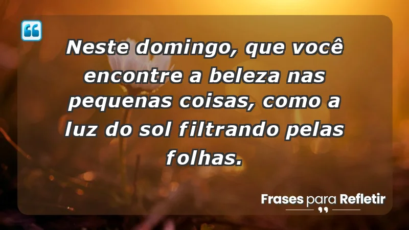 - Neste domingo, que você encontre a beleza nas pequenas coisas, como a luz do sol filtrando pelas folhas.