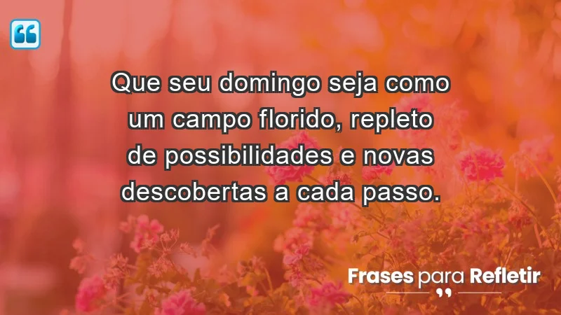 - Que seu domingo seja como um campo florido, repleto de possibilidades e novas descobertas a cada passo.