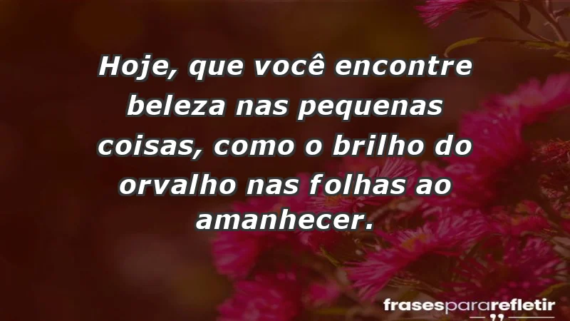 - Hoje, que você encontre beleza nas pequenas coisas, como o brilho do orvalho nas folhas ao amanhecer.