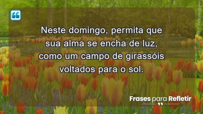 - Neste domingo, permita que sua alma se encha de luz, como um campo de girassóis voltados para o sol.