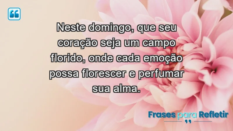 - Neste domingo, que seu coração seja um campo florido, onde cada emoção possa florescer e perfumar sua alma.