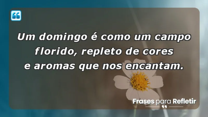 - Um domingo é como um campo florido, repleto de cores e aromas que nos encantam.