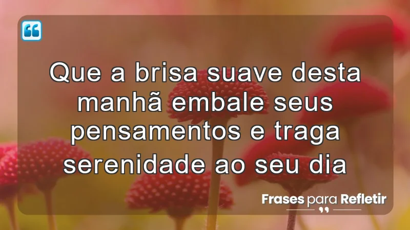 Que a brisa suave desta manhã embale seus pensamentos e traga serenidade ao seu dia.