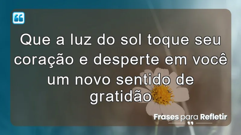 Que a luz do sol toque seu coração e desperte em você um novo sentido de gratidão.