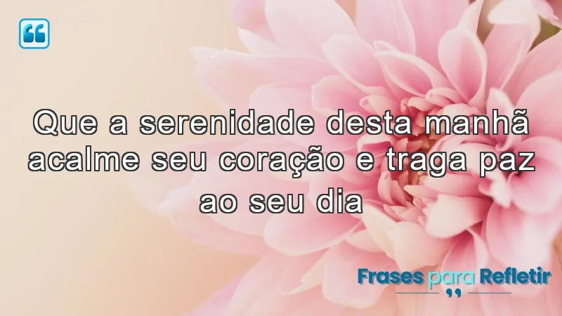 Que a serenidade desta manhã acalme seu coração e traga paz ao seu dia.