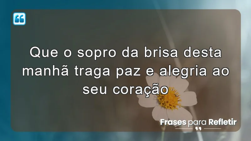 Que o sopro da brisa desta manhã traga paz e alegria ao seu coração.