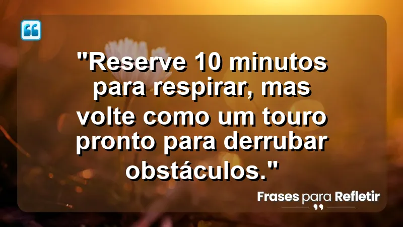 "Produtividade e Gestão do Tempo" - "Reserve 10 minutos para respirar, mas volte como um touro pronto para derrubar obstáculos."