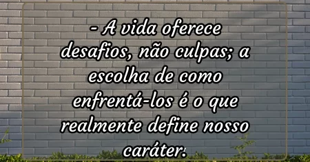 A vida oferece desafios, não culpas; a escolha de como enfrentá-los é o que realmente define nosso caráter.